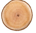 841558 WOODEN CIRCLE ACCENT CUTOUT