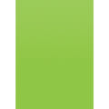 TCR77371 LIME BETTER THAN PAPER BULLETIN BOARD ROLL