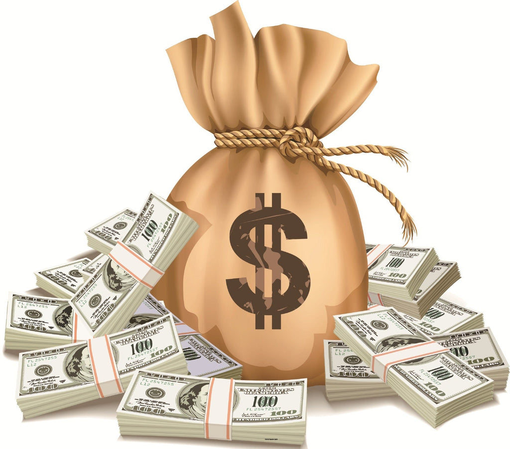 VA4003 SACK WITH MONEY ACCENT