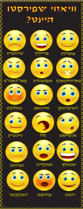 VYL2151 EMOJI  WHAT DO FEEL? YIDDISH