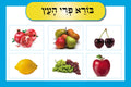 VYL224 BROCHES POSTERS