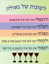 VYL3737 PESACH POSTER