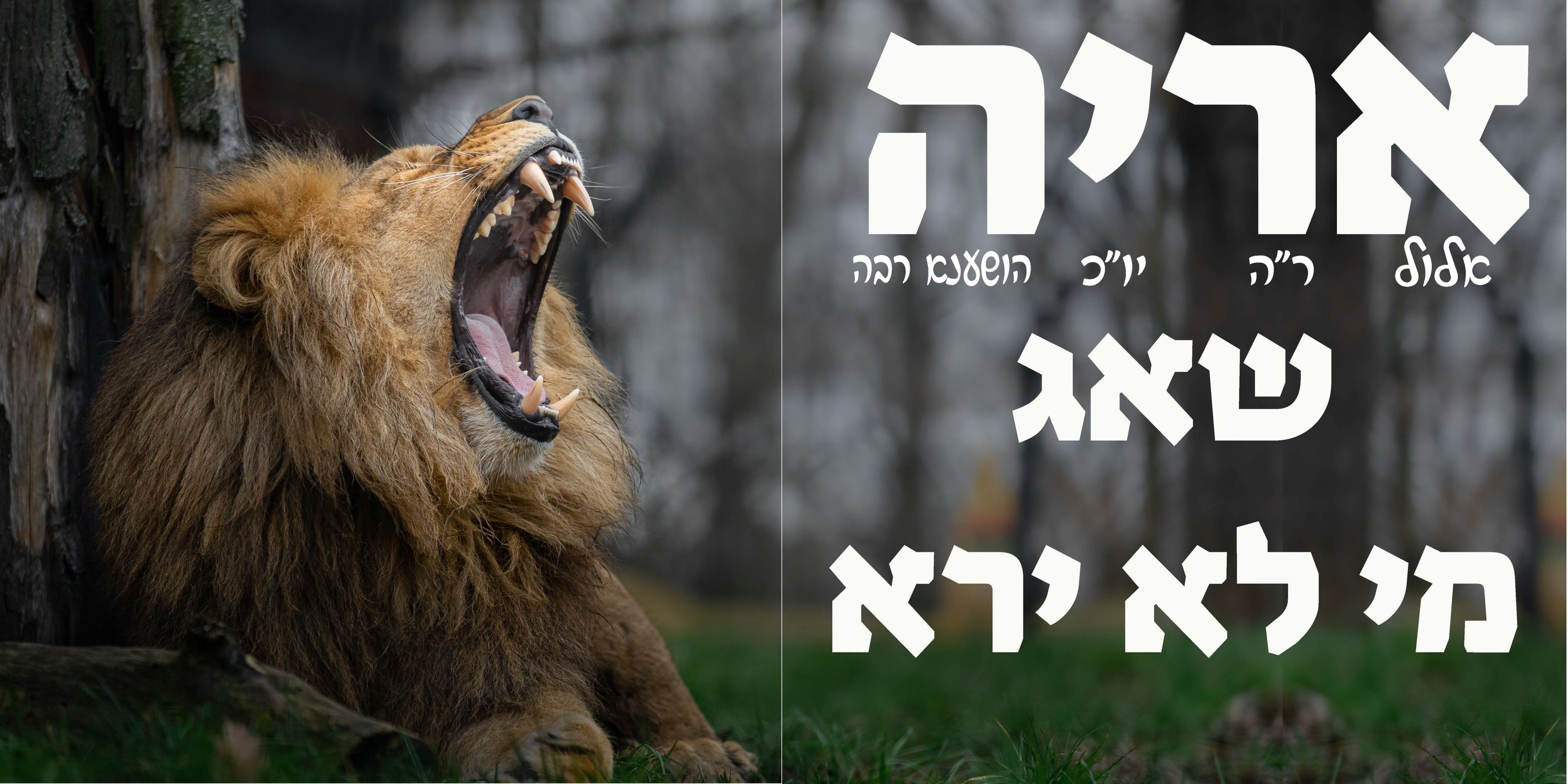 VYL4759 TISHREI POSTER