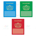 T10980 PASSPORT - Approximately 6’’ - Accent