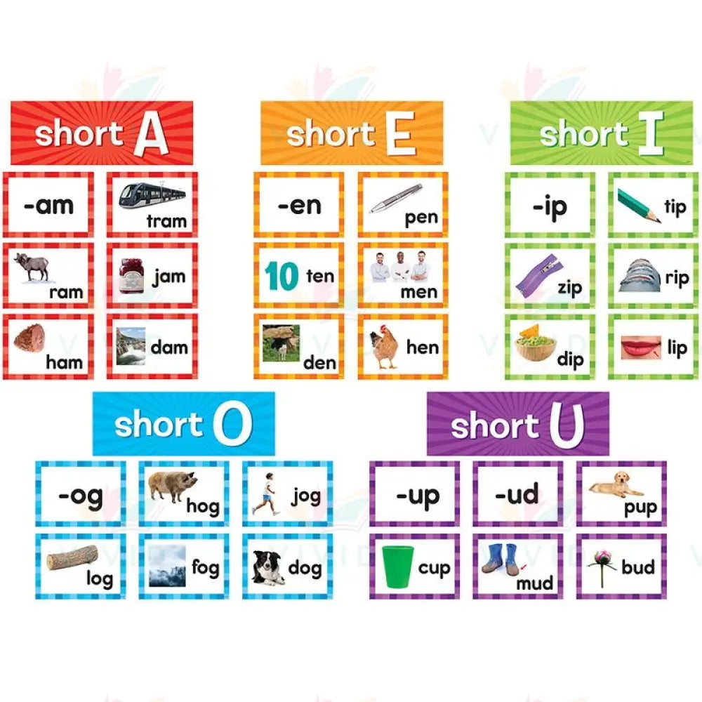 TCR20850 Short Vowel cards - Learning Charts English