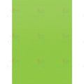 TCR77371 LIME BETTER THAN PAPER BULLETIN BOARD ROLL - 4x12 ft - Bulletin Roll Paper