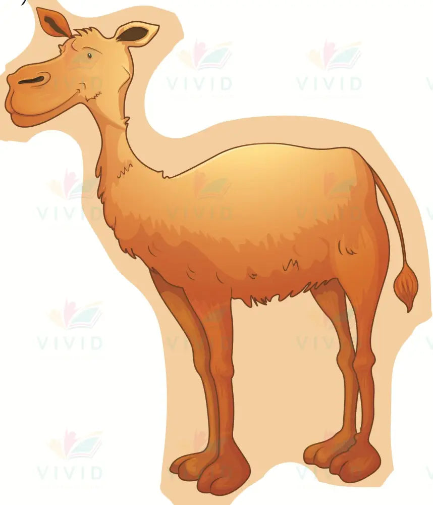 VA303 CAMEL ACCENT - Approximately 6’’ - Accent