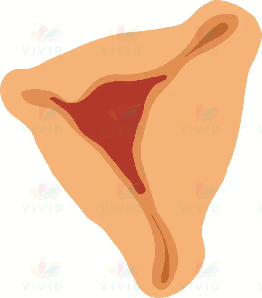 VA306 HAMAN TASH ACCENT - Approximately 6’’ - Accent