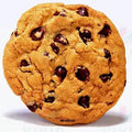 VA3507 COOKIE ACCENT - Approximately 6’’ - Accent
