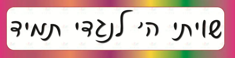 VB101 SHVISI BANNER Color BACKGROUND - 12x48’’ - Shvisi Signs