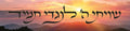 VB1111 SHVISI BANNER SUNSET WITH Yiddish TEITCH - 12x48’’ - Shvisi Signs