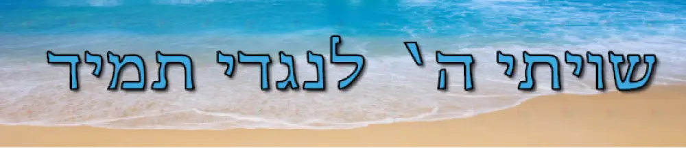 VB1823 SHVISI BANNER BEACH BLUE LETTERS - 12x48’’ - Shvisi Signs