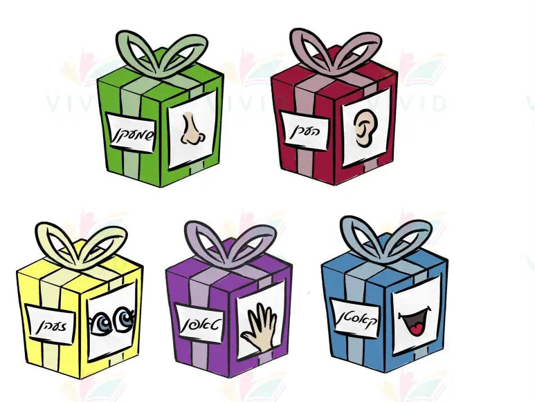 VBB1515 Five Senses Gift Bulletin - 12x18 - Bulletin Sets