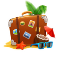 VCP226 SUITCASE