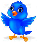VCP263B BLUE BIRD - 24x28 - Centerpieces