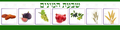 VMB3722 Tu Bshvat poster - 12x24 - Yom Tovim