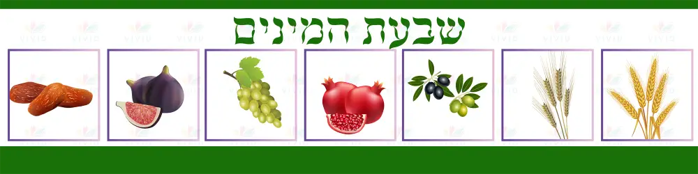 VMB3722 Tu Bshvat poster - 12x24 - Yom Tovim