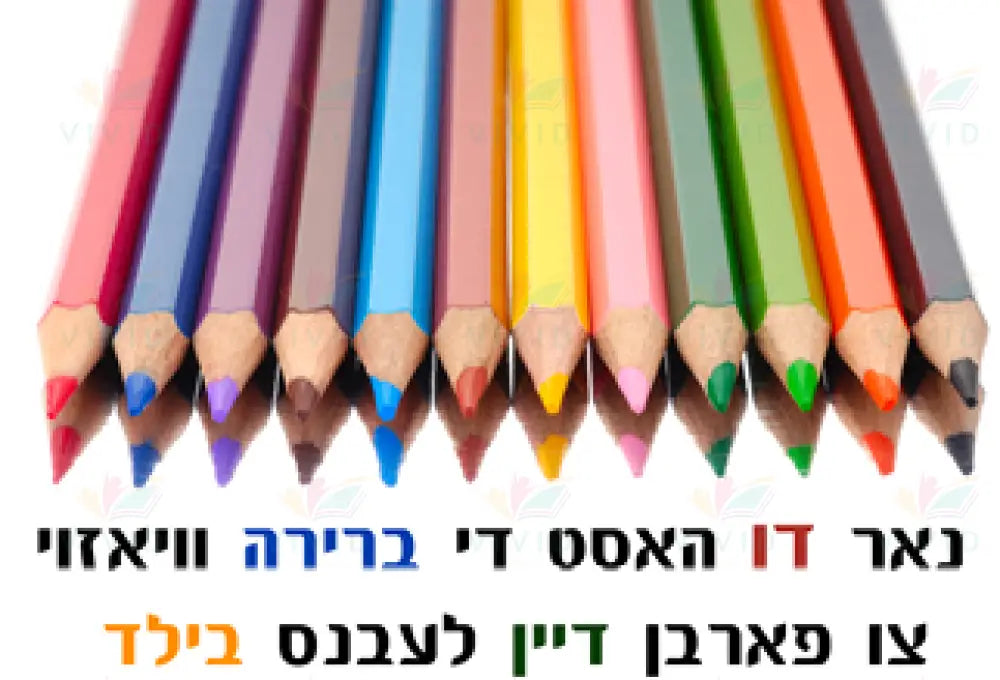 VP6428 It’s your life! Poster - 12x18 - Inspirational Quotes Yiddish