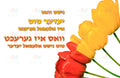 VP6431 What everyone does Poster - 12x18 - Inspirational Quotes Yiddish
