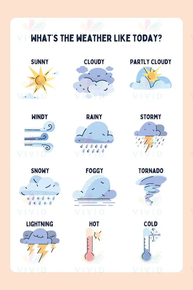 VS004 WEATHER CHART - 18x24’’ - Learning Charts English