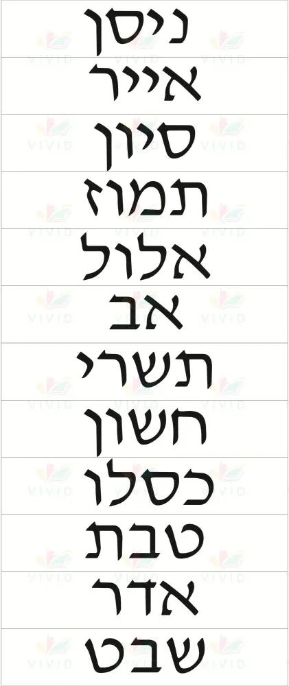 VSP1003 SIMPLE MONTH HEBREW - 12x2.3’’ - Calendars