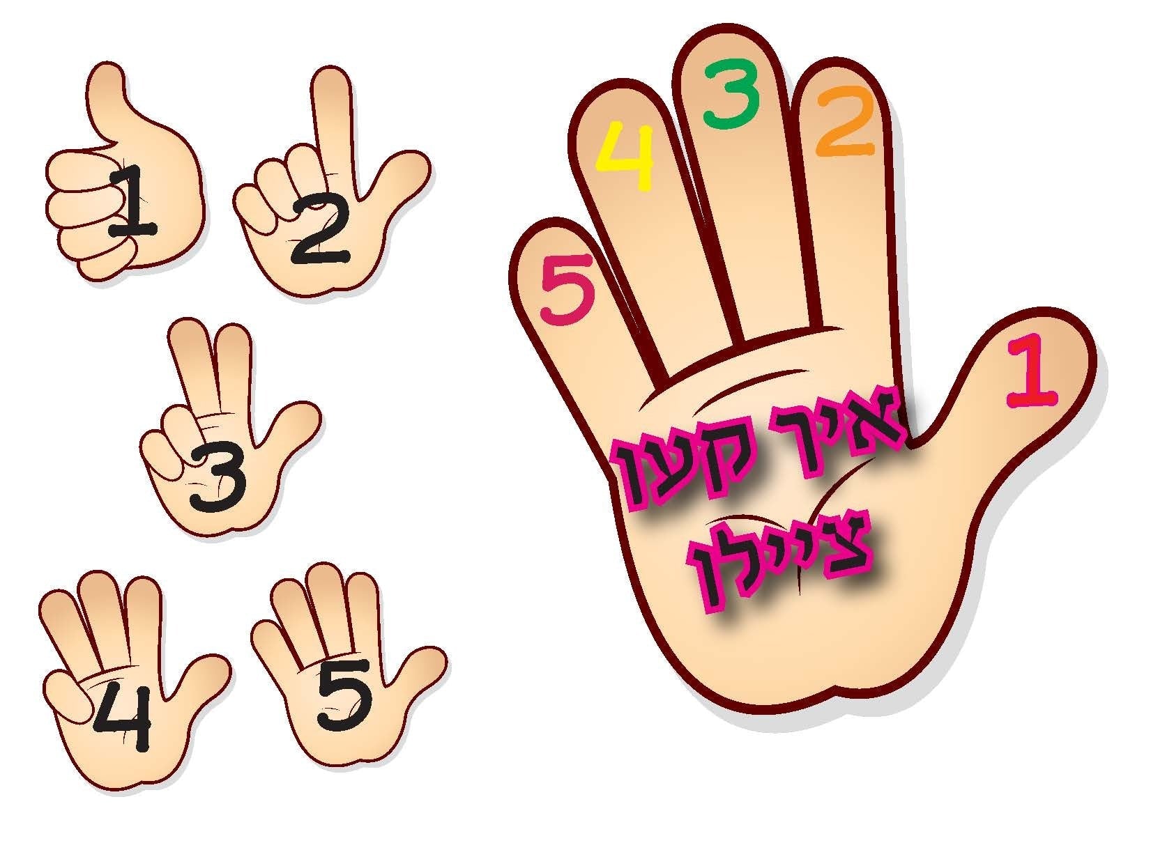 VYL1216 I CAN COUNT