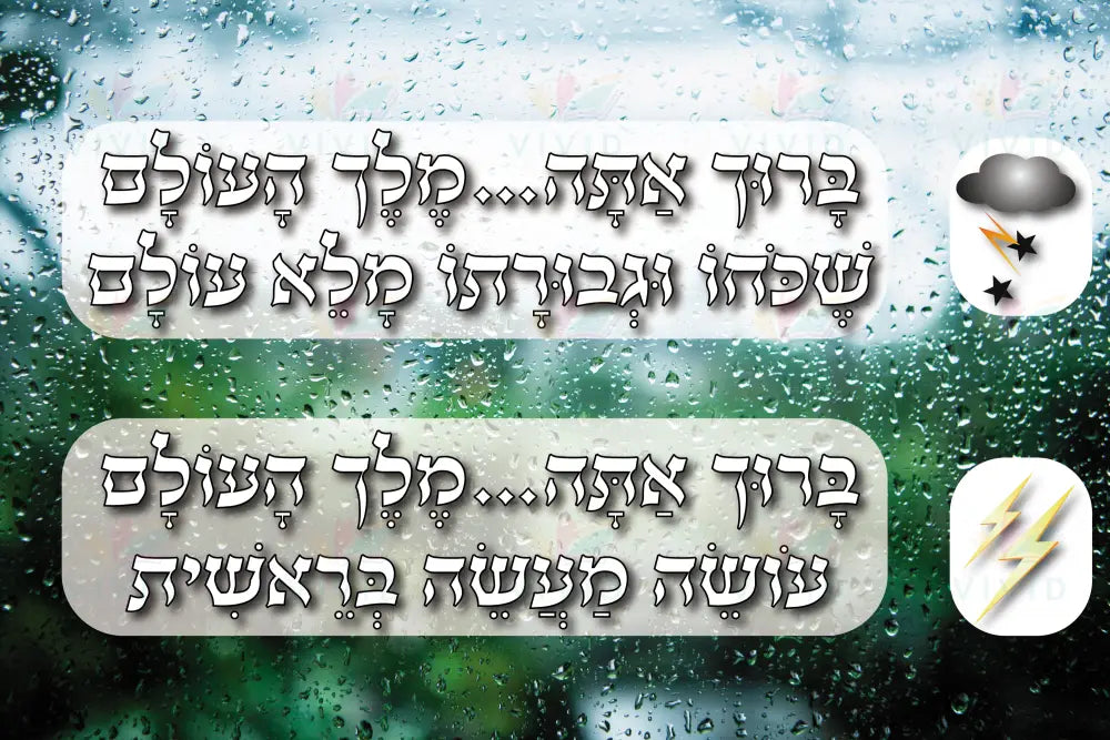 VYL202 BROCHES POSTER - Learning Charts Yiddish
