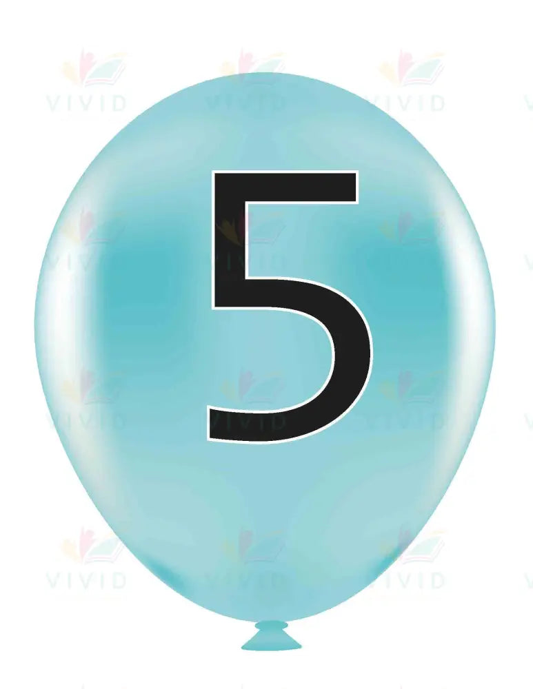 VYL221 FLY HIGH NUMBER BALLOONS 1-10 - 8.5x11 each - Learning Charts Yiddish