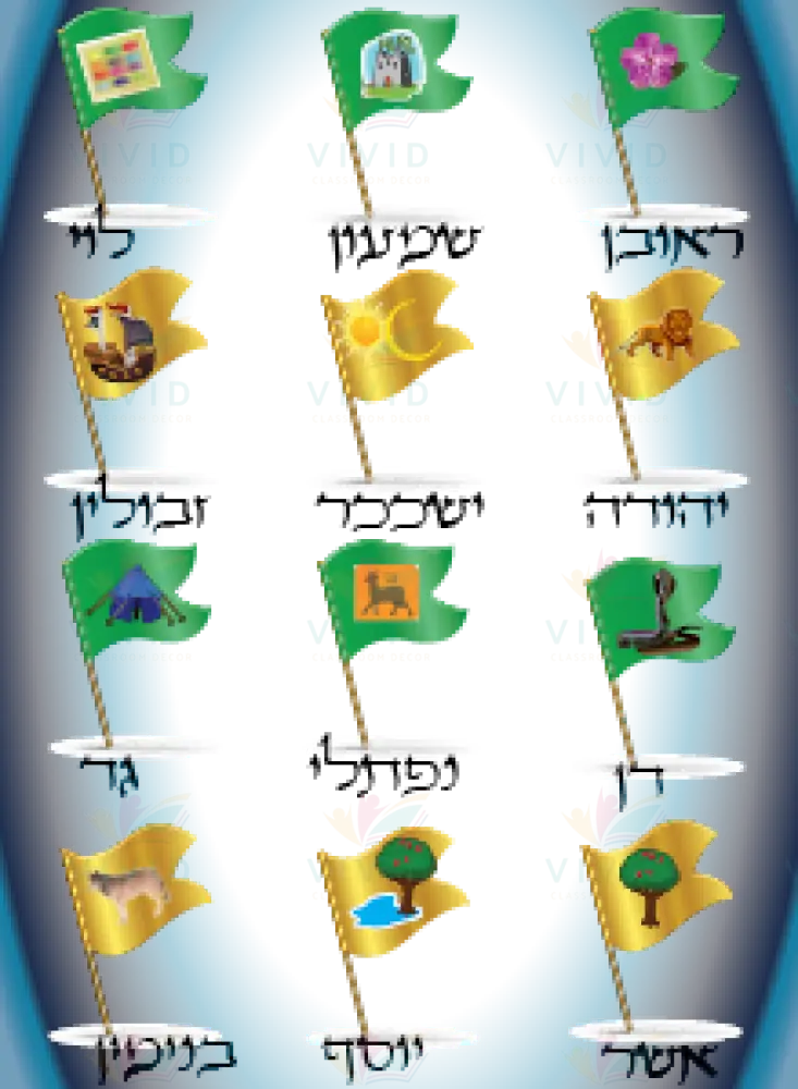 VYL3756 SHVATIM FLAGS POSTER - Learning Charts Yiddish