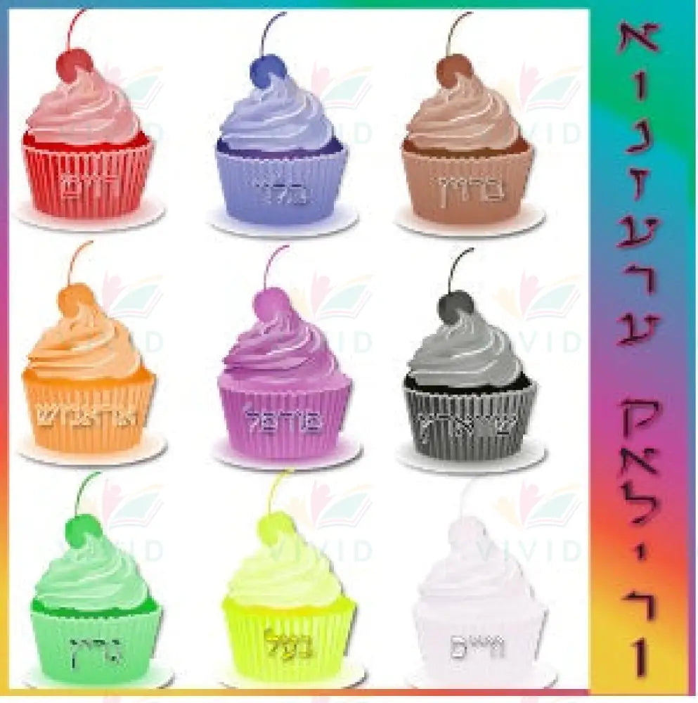 VYL3829 CUPCAKE COLORS - 24x24 - Learning Charts Yiddish