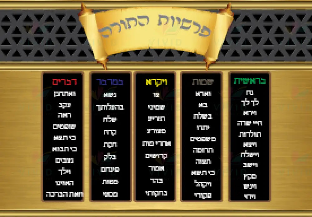 VYL4108 PARSHA POSTER GOLD - Learning Charts Yiddish