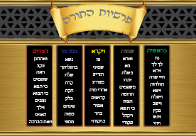VYL4108 PARSHA POSTER GOLD