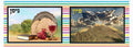 VYL5100 MONTHLY POSTERS HEBREW COLORED ZIG ZAG BACKGROUND - 8.5x11 - Calendars